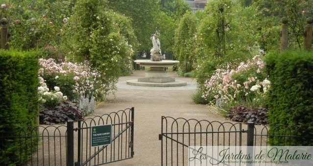 « The Rose Garden’ londonien