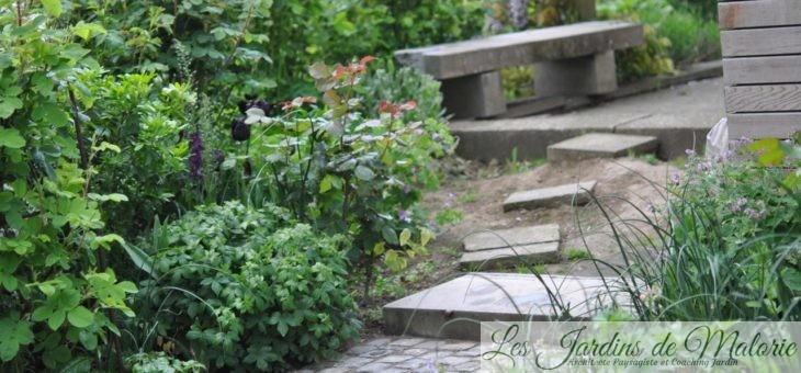 Chroniques de mon jardin : Une « verrue » au jardin