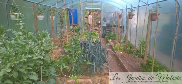Visite du jardin en permaculture de Michel Steingueldoir