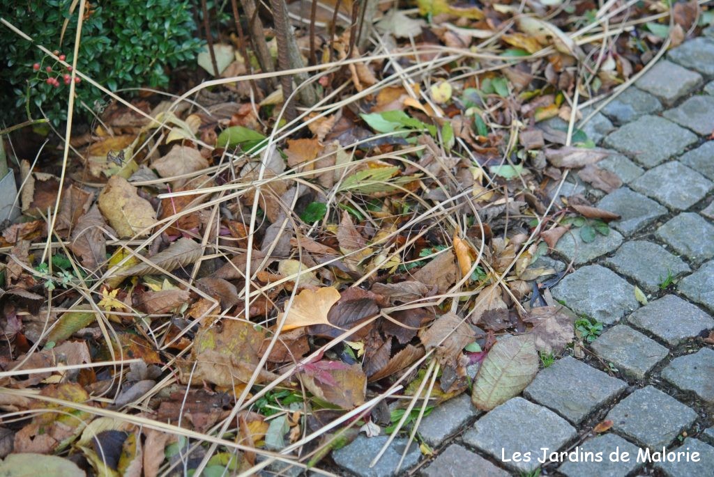 Toile de paillage coco rond 20cm - Protège les plantes (été, hiver)