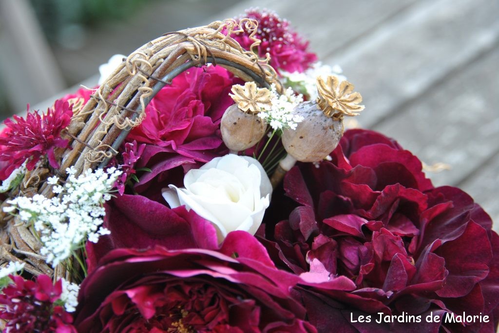 montage floral réalisé avec rosa 'Munstead Wood' et 'Iceberg', orlaya et knautia macedonica