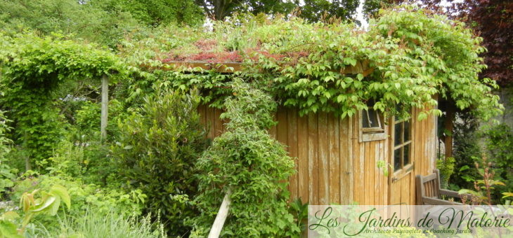 Végétaliser le toit d’une cabane de jardin