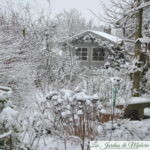 Chroniques de mon jardin: Chouette, il neige!