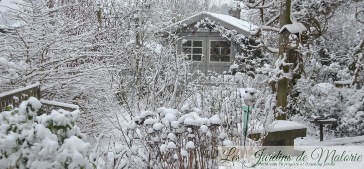 Chroniques de mon jardin: Chouette, il neige!