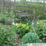 Travaux du mois d'Avril au jardin: check list