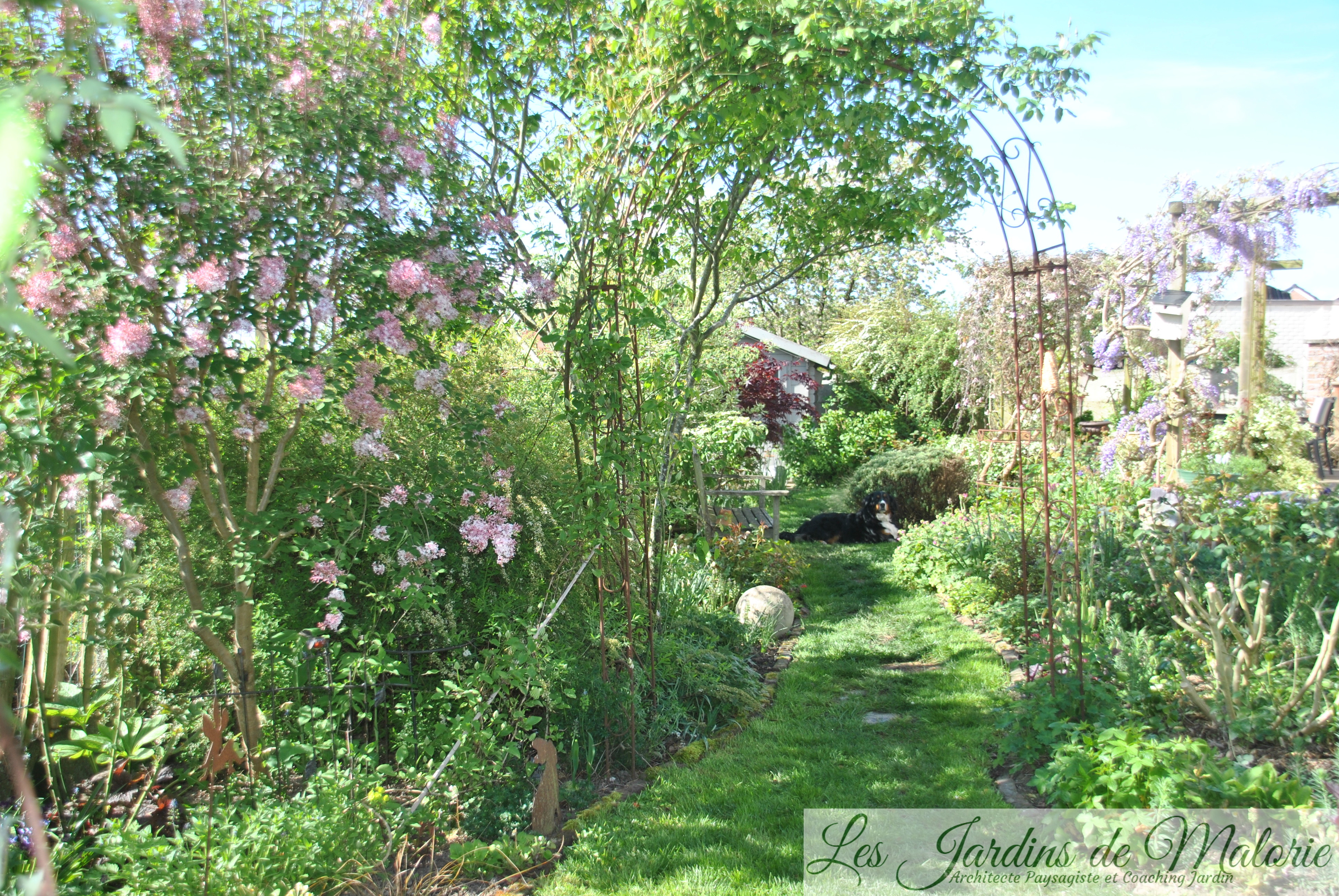 Chroniques de mon jardin: Soleil et pluie ont boosté les plantes! - Les  Jardins de Malorie