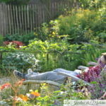 Jardinier "contemplatif" : Réduire l'entretien de son jardin