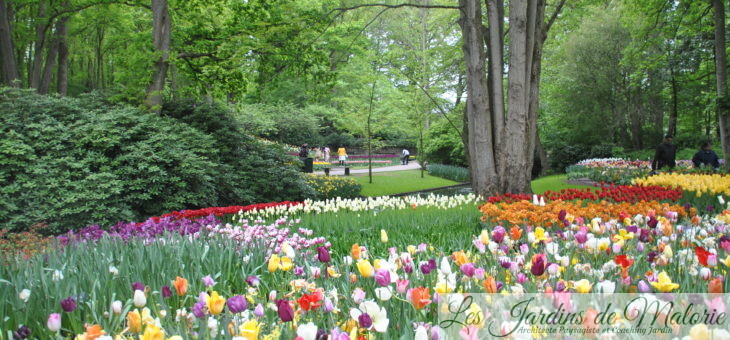 🌷 Visite de jardin : le parc floral du Keukenhof