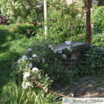 Chroniques de mon jardin: Beautés d'avril (2)