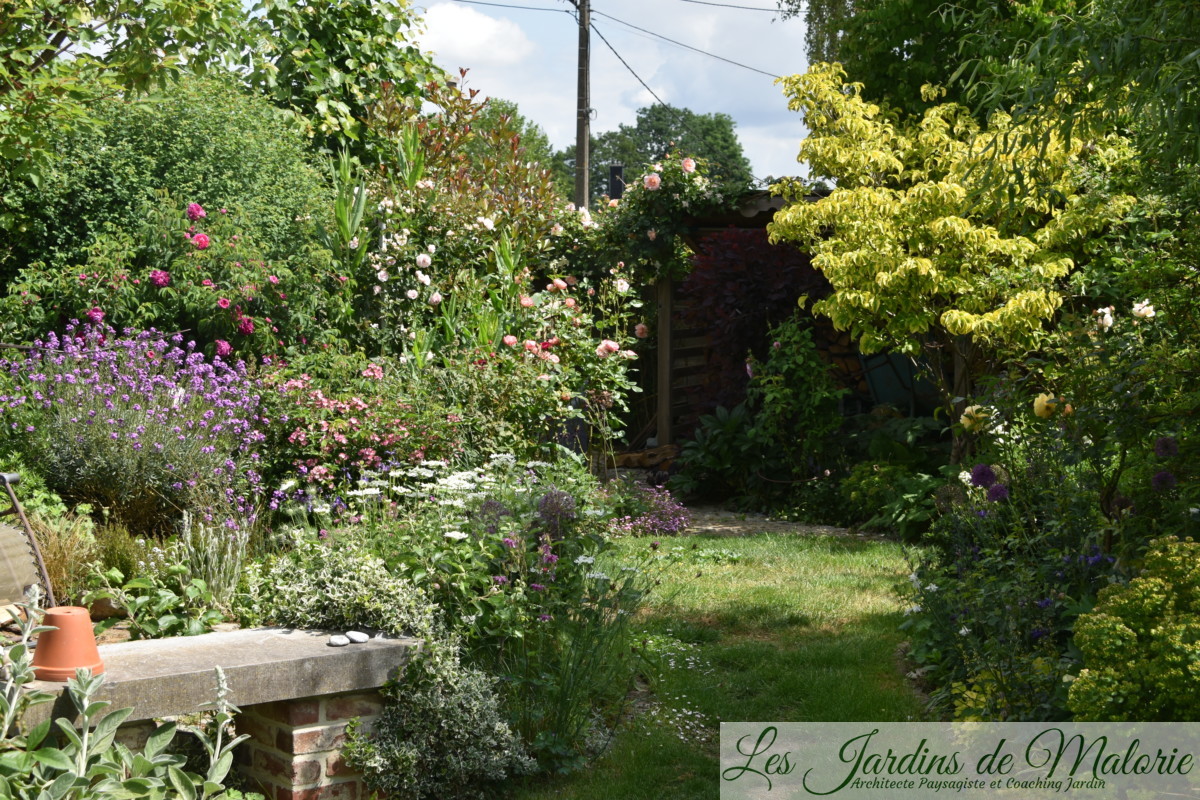 Chroniques de mon jardin - Les Jardins de Malorie