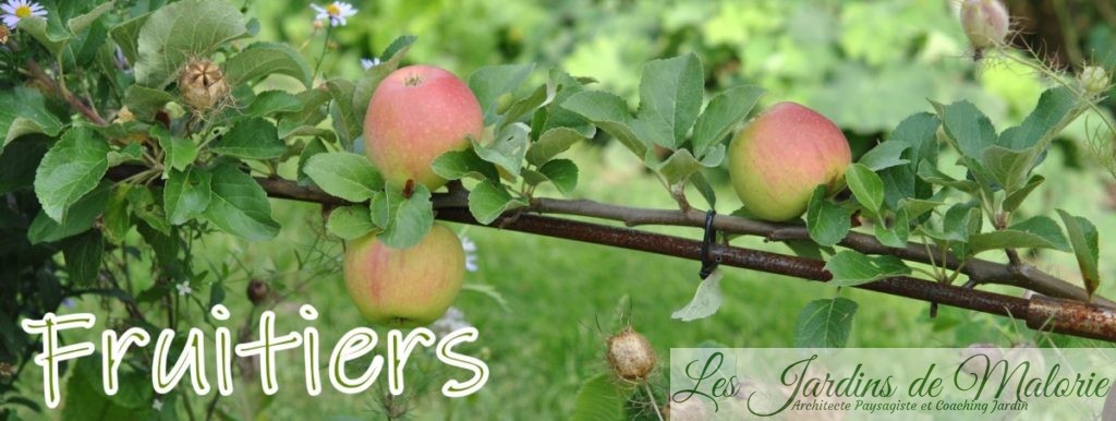 Fruitiers