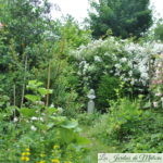 Visite de jardin: Souvenir de chez Foucart