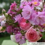 Un bouquet de roses du jardin...