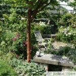 Chroniques de mon jardin : autour de la terrasse ronde