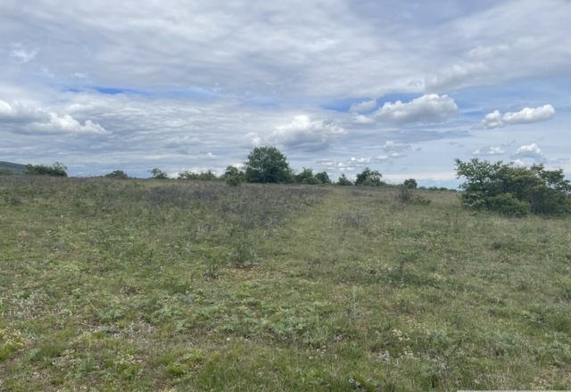 Bollenberg