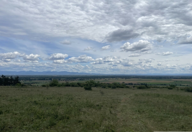 Bollenberg