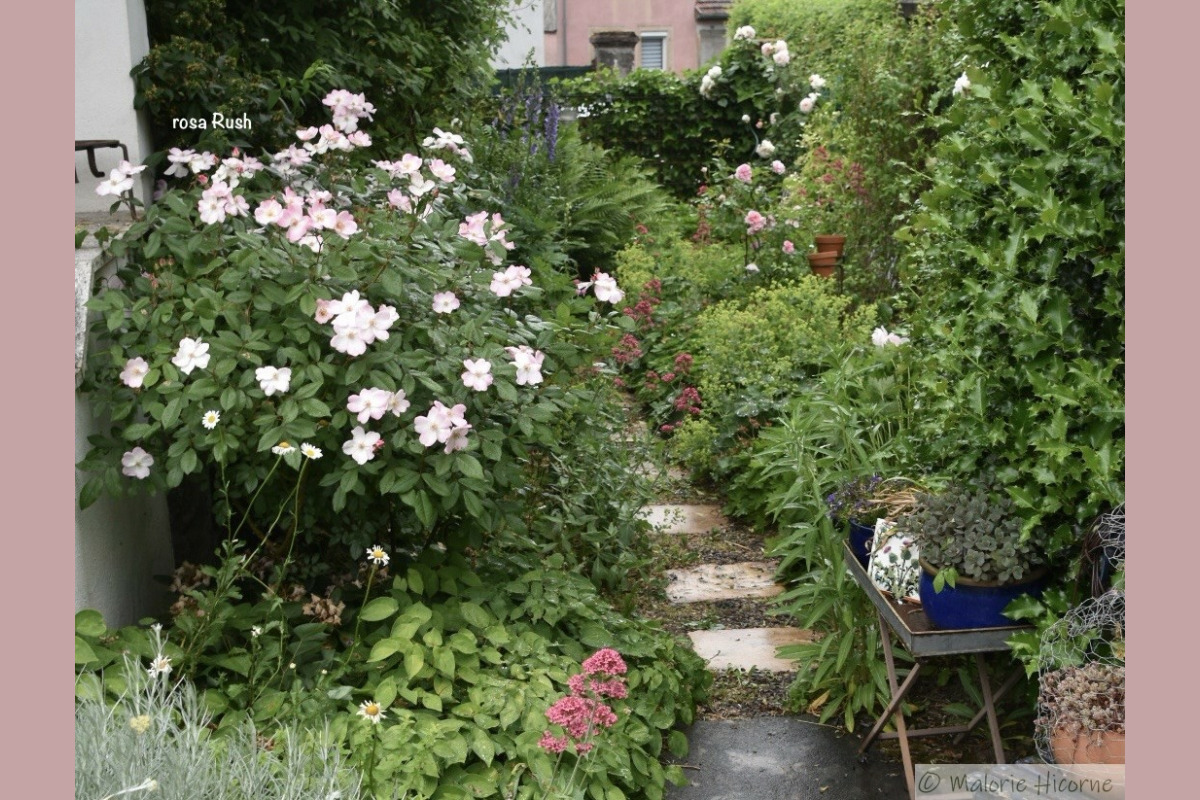 A l’entrée du jardin, ce petit îlot de verdure est visible depuis la rue