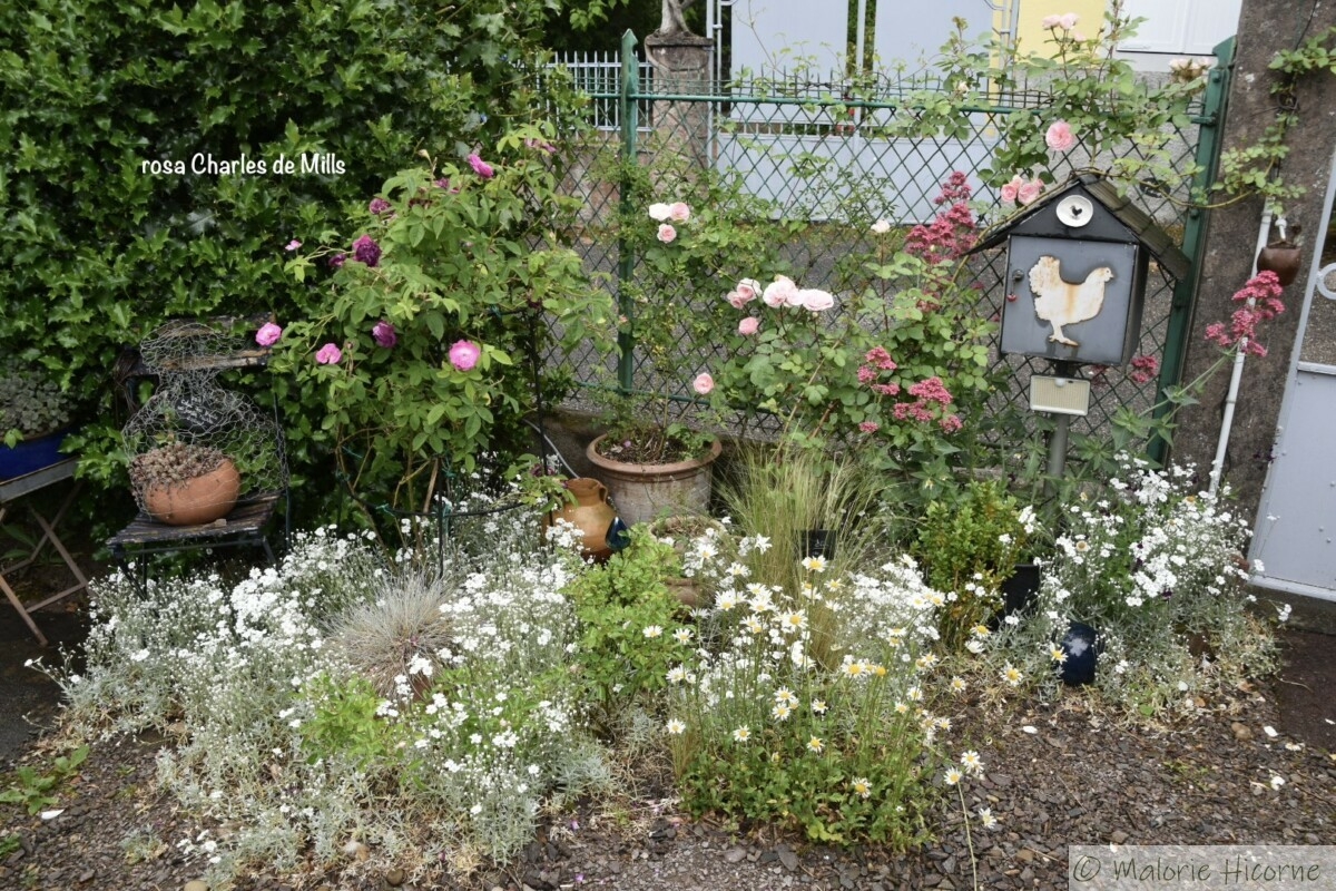 A l’entrée du jardin, même la boîte aux lettres est charmante